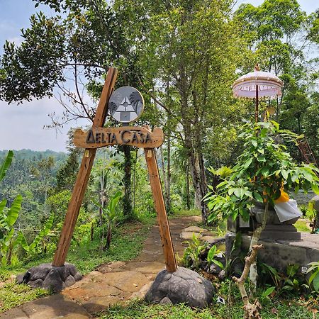 Delta Casa Ubud-Jungle Villas With Volcano View Ґіаньяр Екстер'єр фото