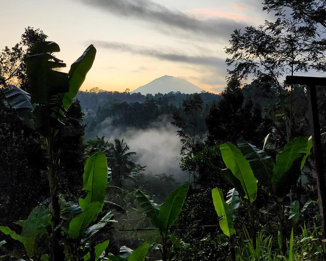 Delta Casa Ubud-Jungle Villas With Volcano View Ґіаньяр Екстер'єр фото