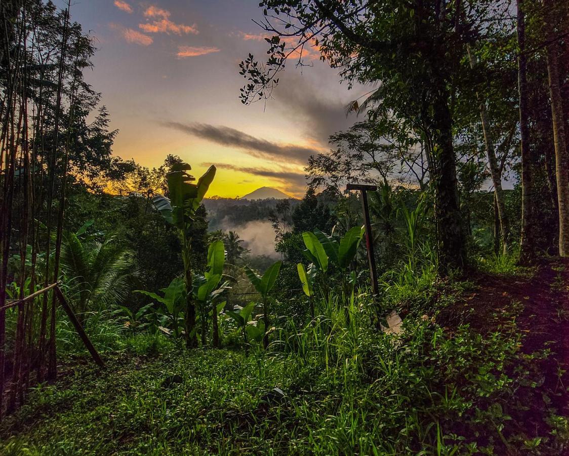 Delta Casa Ubud-Jungle Villas With Volcano View Ґіаньяр Екстер'єр фото