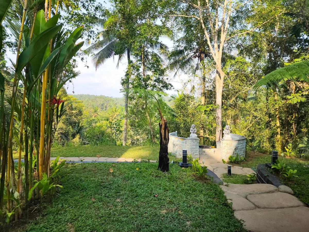 Delta Casa Ubud-Jungle Villas With Volcano View Ґіаньяр Екстер'єр фото