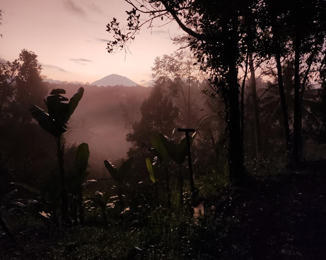 Delta Casa Ubud-Jungle Villas With Volcano View Ґіаньяр Екстер'єр фото