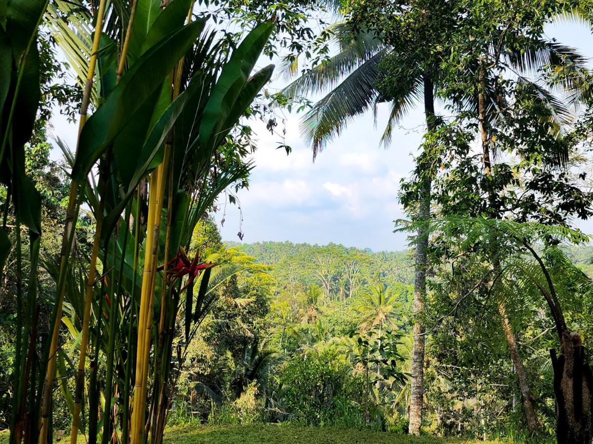 Delta Casa Ubud-Jungle Villas With Volcano View Ґіаньяр Екстер'єр фото