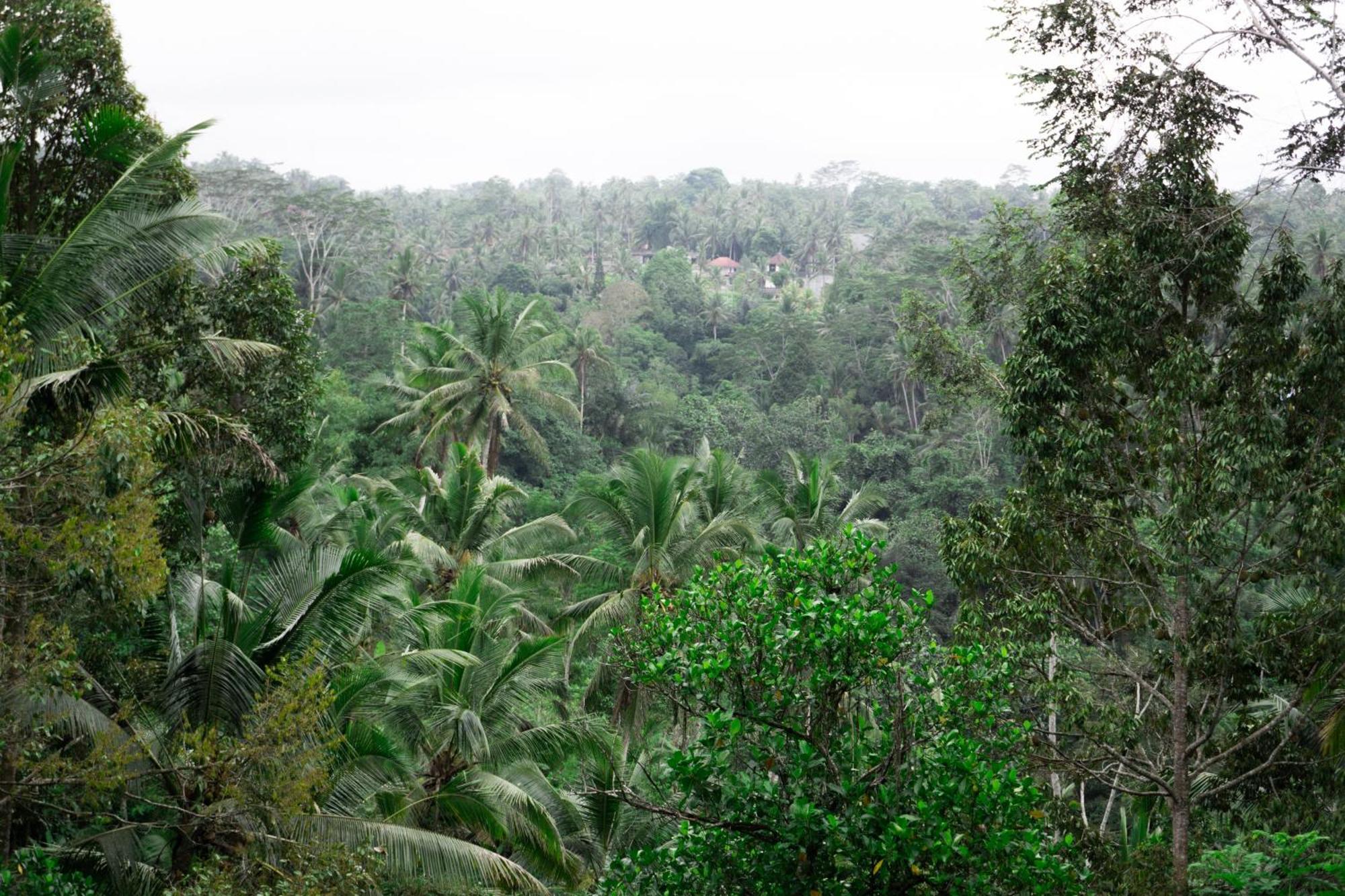 Delta Casa Ubud-Jungle Villas With Volcano View Ґіаньяр Екстер'єр фото