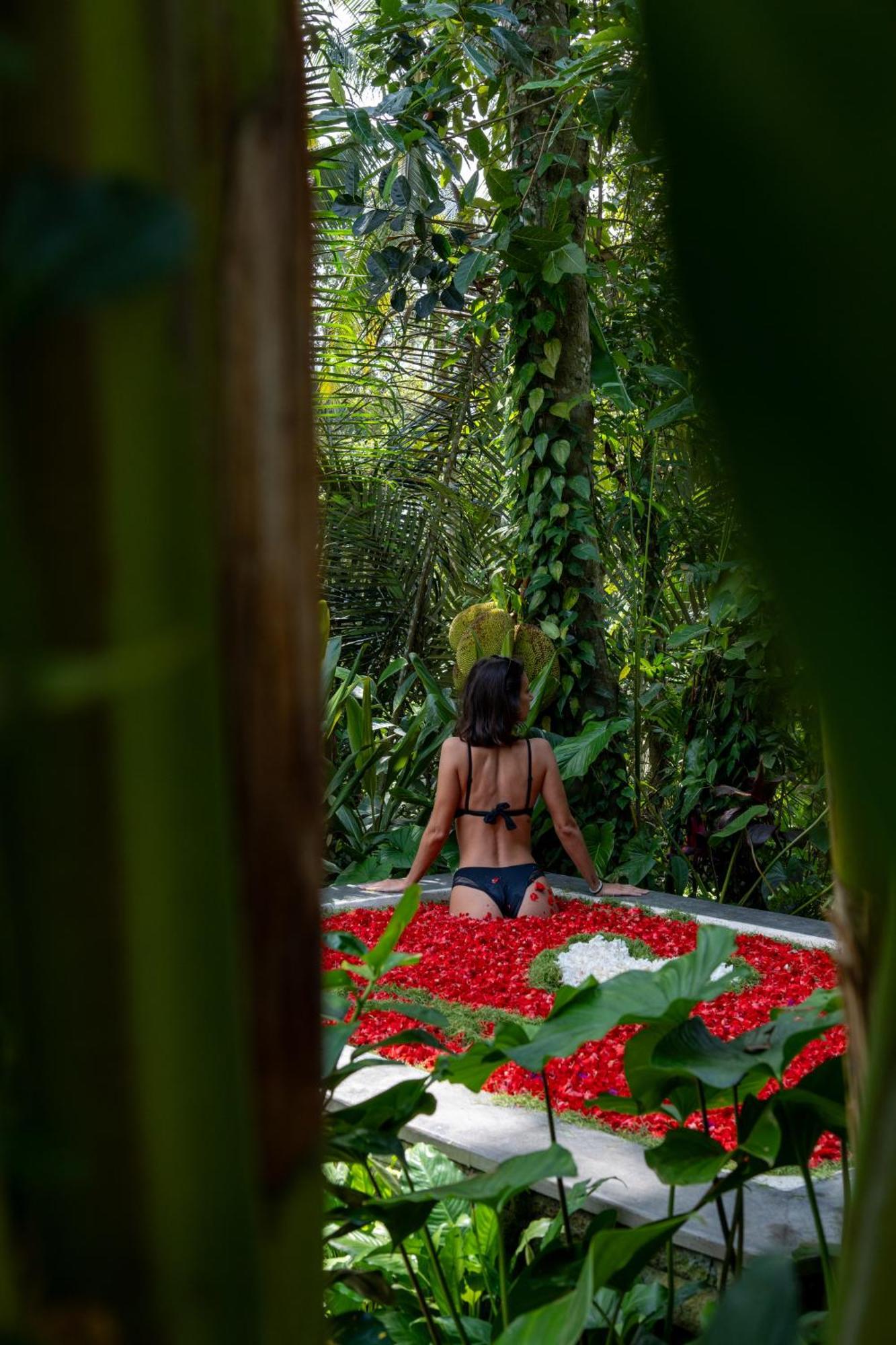 Delta Casa Ubud-Jungle Villas With Volcano View Ґіаньяр Екстер'єр фото