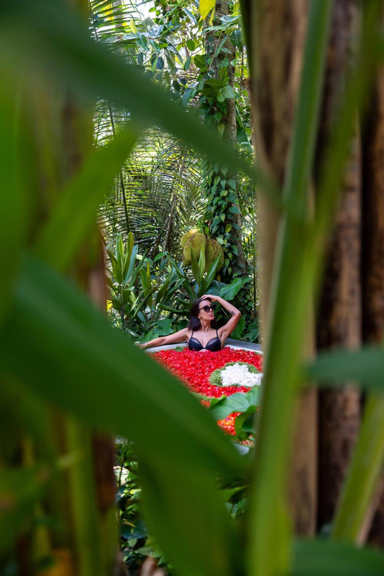 Delta Casa Ubud-Jungle Villas With Volcano View Ґіаньяр Екстер'єр фото