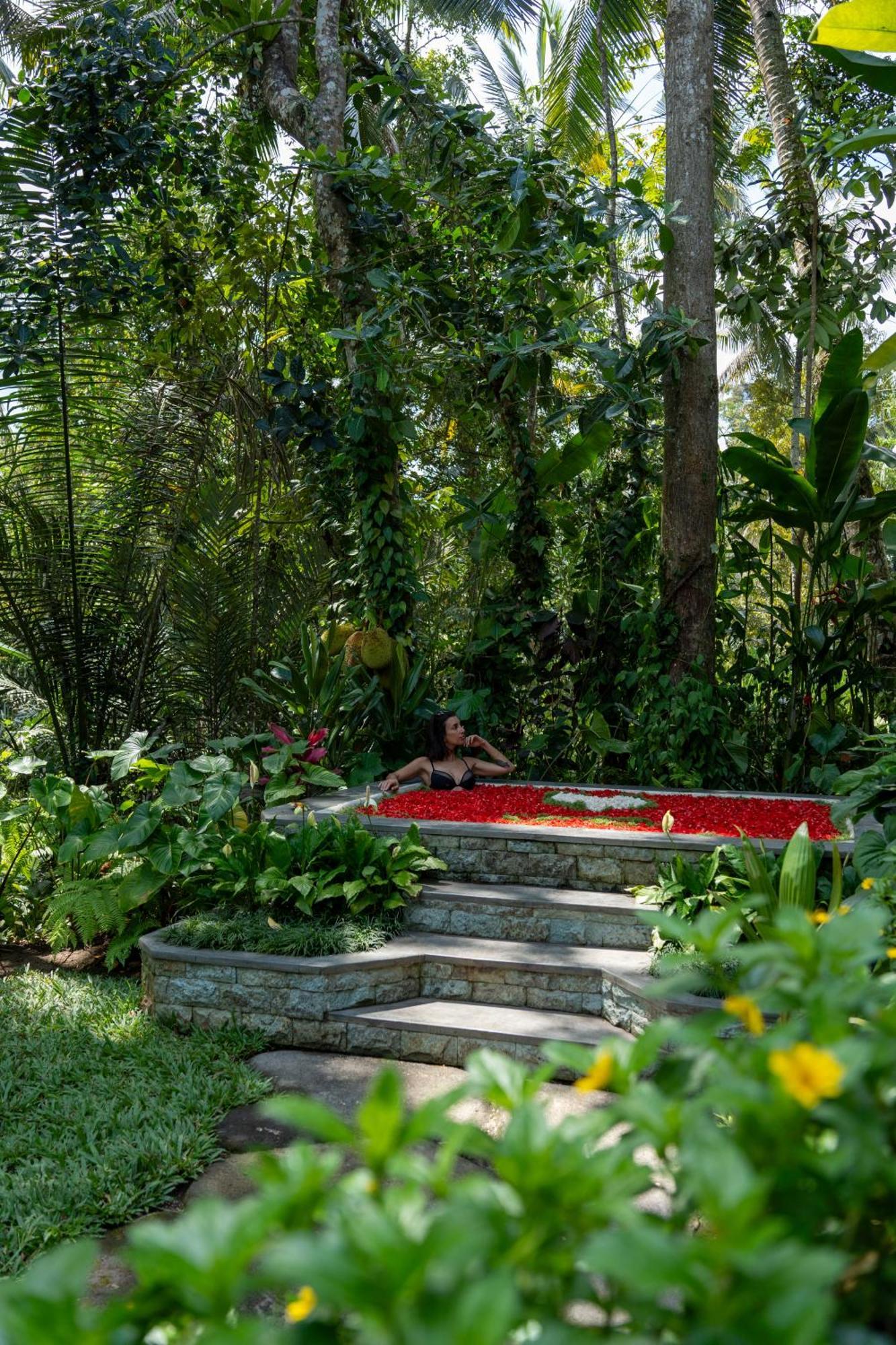 Delta Casa Ubud-Jungle Villas With Volcano View Ґіаньяр Екстер'єр фото
